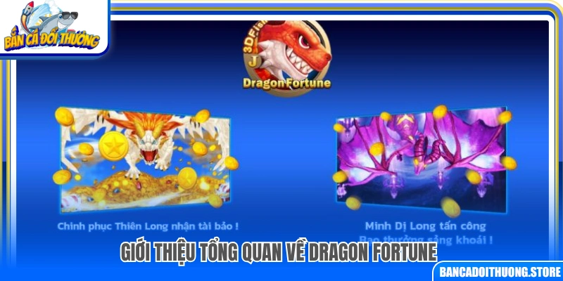  Tìm hiểu chung về game Dragon Fortune 