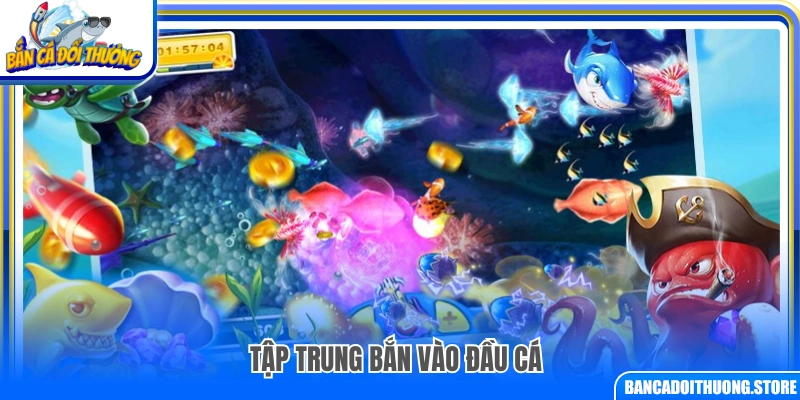 Nhắm bắn vào phần đầu của cá